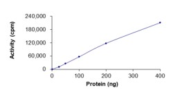 Sino Biological&nbsp;Recombinant Human RET Protein (L790F, GST Tag), Active